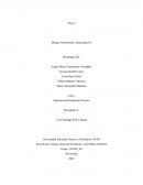 Informe sisitema de produccion porcino