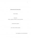 PROPUESTA DE GUÍA Y PROTOCOLO DE INVESTIGACION