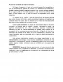 Acción en contexto: el marco narrativo