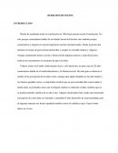 CONSTITUCION POLITICA. DERECHOS HUMANOS