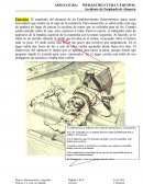 Accidente de Empleado de Almacén