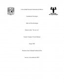 Síntesis sobre “Veo un voz”