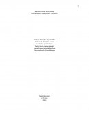 Informe Etapa Productiva Edición