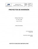PROYECTOS DE INVERSIÓN