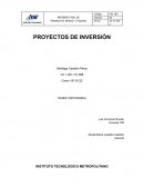 PROYECTOS DE INVERSIÓN