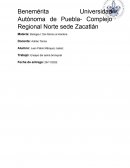 Efectos del asma en mi vida