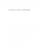 SINTESIS DE LA PELICULA “DESPERTARES”