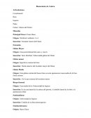 Biomecánica de Cadera