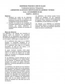 LABORATORIO: ALCOHOLES E IDENTIFICACION DE ALDEHÍDOS Y CETONAS