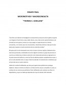 MICROMOTIVOS Y MACROCONDUCTA