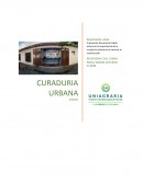 ENSAYO SOBRE CURADURÍA URBANA