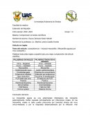 Coxsackievirus – induced miocarditis ( Miocarditis agudas por virus coxsackie)