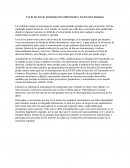 Uso de las nuevas tecnologías de la información y los derechos humanos