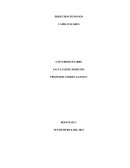 Parcial derechos humanos