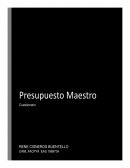 Presupuesto Maestro Cuestionario