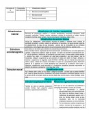 Infraestructura de vivienda y equipamiento