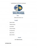 Sistema del Common Law