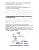 LA HORMONA DEL CRECIMIENTO (GH)