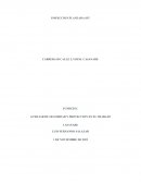 INSPECCION PLANEADA SST