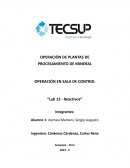 OPERACIÓN EN SALA DE CONTROL “Lab 13 - Reactivos”