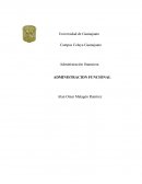 ¿Cómo es la administración y el proceso administrativo? película bichos