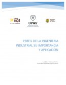 Perfil De La Ingeniera Industrial Su Importancia Y Aplicación