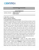 Comportamiento del consumidor CASO APPLE