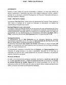 CASO – PROYECTO CHAQUI