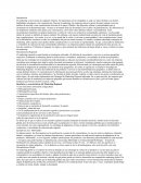 Mercadotecnia global y regional