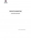 PROYECTO MARKETING “CERVECERÍA KUNSTMANN”