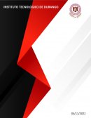 REPOTE DE VIDEO METRO NEW YORK