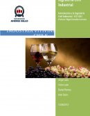 Industria Vitivinícola en Chile