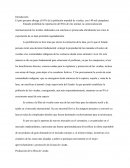 Producción de la fibra de vicuña. Mercados de exportación