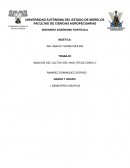Analisis del cultivo del higo (Ficus Caria l)