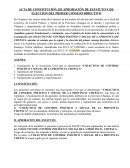 Acta de Constitución, de aprobación de estatutos y de eleccion del primer consejo directivo