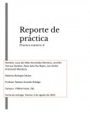 REPORTE DE PRÁCTICA . BIOLOGIA