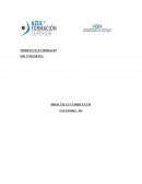 Trabajo Final - DIDACTICA Y CURRICULUM