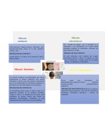 MICOSIS SUPERFICIALES, SUBCUTÁNEAS, CUTÁNEAS, SISTÉMICAS, MICOSIS OPORTUNISTAS Y RABIA VIH/SIDA Y LENTIVIRUS, VIRUS QUE CAUSAN CÁNCER EN EL SER HUMANO. Página 3