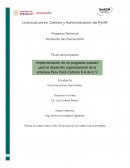 Implementación de un programa maestro para desarrollo organizacional Peru Pack Cabrera S.A de C.V