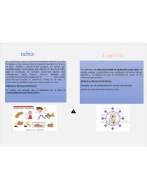 MICOSIS SUPERFICIALES, SUBCUTÁNEAS, CUTÁNEAS, SISTÉMICAS, MICOSIS OPORTUNISTAS Y RABIA VIH/SIDA Y LENTIVIRUS, VIRUS QUE CAUSAN CÁNCER EN EL SER HUMANO. Página 5