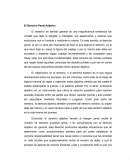 El Derecho Penal Adjetivo