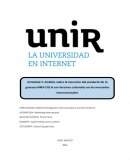 Analisis sobre la imsercion del producto de las gaseosa INKA COLA