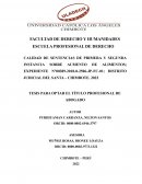 TESIS PARA OPTAR EL TÍTULO PROFESIONAL DE ABOGADO