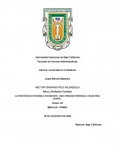 LA PROFESION CONTABLE EN MEXICO, UNA OPINION PERSONAL EN MI VIDA DIARIA