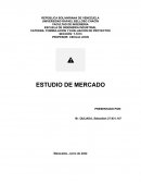 Estudio de Mercado Yokocaicara