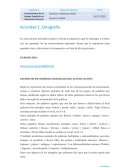 Conocimiento de la Lengua Española en Educación Primaria