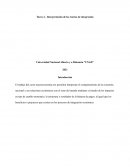 Tarea 4 - Interpretación de las teorías de integración