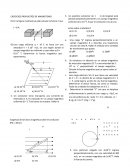 EJERCICIOS PROPUESTOS DE MAGNETISMO