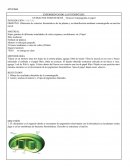 Practica sobre la fotosintesis