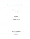 PROCESO EXPORTADOR DE PLATANO A BELGICA